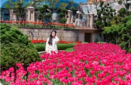 Khách miền Trung – Tây Nguyên đến Ba Na Hills tăng hơn 60%