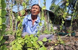 'Đòn bẩy' thay đổi tư duy phát triển kinh tế của đồng bào dân tộc thiểu số tại Cần Thơ