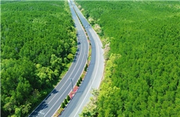 Hơn 5.000 vận động viên tham gia Vnexpress Marathon Green Paradise Cần Giờ