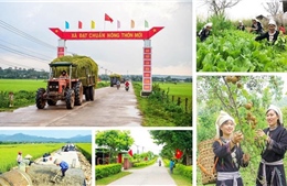 Chương trình mục tiêu quốc gia chuyển mạnh từ tư duy ‘hỗ trợ’ sang ‘trao cơ hội phát triển’