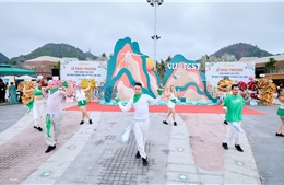 Vui-Fest Cát Bà phiên bản 2026 hoạt động cả ngày lẫn đêm có gì 'hot'?