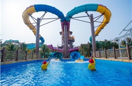 Chuyên gia quốc tế nói gì sau hơn 1.000 lượt 'chơi thử' 100 đường trượt tại Sun World Vung Tau?