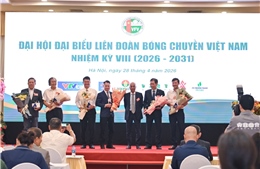 Đại hội Đại biểu Liên đoàn Bóng chuyền Việt Nam nhiệm kỳ VIII (2026 - 2031)
