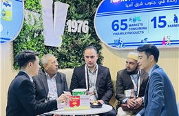 Vinamilk báo doanh thu quý I/2026 tăng 24,6% so với cùng kỳ