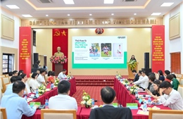Phát triển thế hệ trẻ toàn diện: Từ giáo dục, dinh dưỡng đến thể chất cho kỷ nguyên mới