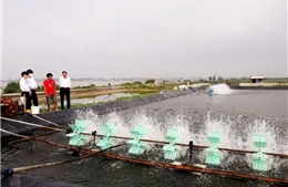 Tín dụng chính sách tiếp tục làm điểm tựa vững bền ở Quảng Trị