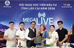 Lào Cai xúc tiến đầu tư gắn với chuyển đổi số