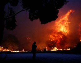 Hình ảnh cháy rừng khủng khiếp bao vây thủ đô Hy Lạp khiến ít nhất 200 người thương vong