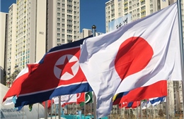 Mỹ nổi giận vì quan chức Nhật-Triều bí mật gặp gỡ