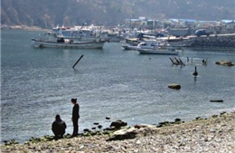 Hai miền Triều Tiên tìm cách kiến lập một vùng đánh bắt cá chung  
