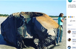 Vật thể lạ giống máy bay ngoài hành tinh trôi dạt vào bờ biển Mỹ