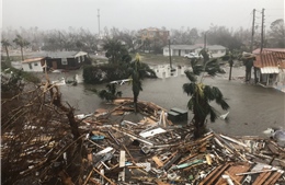 Sức tàn phá khủng khiếp của cơn bão mạnh nhất 50 năm đổ bộ bờ Đông nước Mỹ