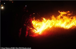 California thuê 200 tù nhân để dập tắt cháy rừng