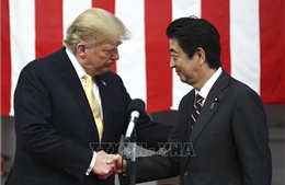 Nội các Nhật Bản nhất trí về dự luật phê chuẩn thỏa thuận thương mại với Mỹ