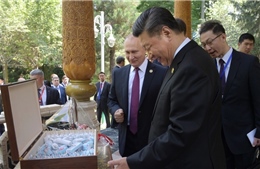 Ba món quà sinh nhật đặc biệt Tổng thống Putin dành tặng ông Tập Cận Bình