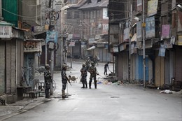 Cuộc sống người dân Kashmir đảo lộn dưới lệnh giới nghiêm