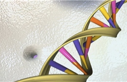ADN mang dấu ấn virus cổ xưa có khả năng tiêu diệt ung thư