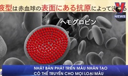 Máu nhân tạo có thể truyền cho mọi nhóm máu