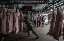 Khám phá kho dự trữ thịt lợn chiến lược của Trung Quốc