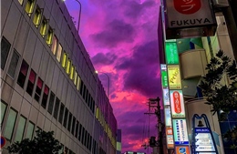 Bầu trời Nhật Bản chuyển tím đáng sợ trước siêu bão mạnh nhất trong 60 năm 