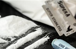 150kg cocain trôi dạt vào bờ biển Pháp, cảnh sát khuyến cáo người dân không ‘hôi của’