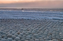 Hàng nghìn quả &#39;trứng băng&#39; trôi dạt vào bờ biển Phần Lan