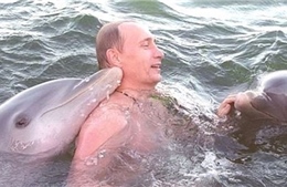 Điện Kremlin công bố video hiếm: Tổng thống V. Putin vui đùa cùng cá heo tại Cuba