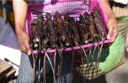 Bất chấp virus Corona lây lan, Indonesia vẫn bày bán dơi và rắn đầy chợ