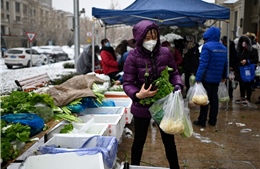 Trung Quốc lên kế hoạch tái cơ cấu nguồn cung thịt 