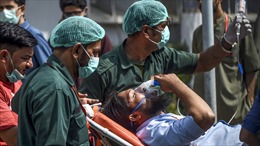 Bụi đậu nành – Thủ phạm khiến 14 người Pakistan chết bí ẩn