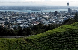New Zealand – điểm trốn COVID-19 lý tưởng của giới nhà giàu Mỹ