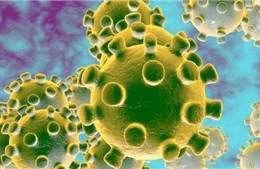Điều kiện thời tiết khiến virus SARS-CoV-2 suy yếu