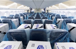 Hàng không Nhật Bản dùng máy bay chở khách để chở khẩu trang, thiết bị y tế