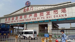 Trung Quốc truy tìm nguồn lây COVID-19 tại chợ đầu mối Bắc Kinh