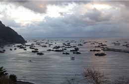 Peru quan ngại trước sự xuất hiện của đội tàu đánh cá Trung Quốc