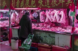 Giá cả leo thang biến thịt lợn thành quà Trung thu xa xỉ