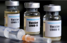 3 loại vaccine ngừa COVID-19 cho hiệu quả trên 90%