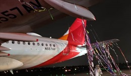 Bóng pháo hoa mừng năm mới suýt khiến một máy bay gặp nạn