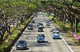 Singapore đánh phí ô tô &#39;siêu cao&#39; để chống tắc đường
