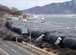 Nhật Bản: Dự báo động đất, sóng thần có thể khiến hàng trăm nghìn người thiệt mạng