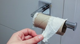 Thế giới có thể phải đối mặt với một cuộc khủng hoảng giấy vệ sinh khác