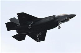 Mỹ phạt công ty bán một phần bản vẽ &#39;siêu tiêm kích&#39; F-35 cho Trung Quốc