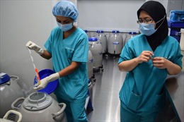 Bị cấm trữ đông, phụ nữ Singapore tìm ra nước ngoài bảo quản trứng