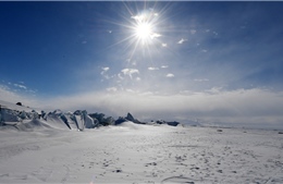 Nam Cực xác lập mức nhiệt kỷ lục gần 20 độ C