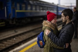 LHQ kêu gọi Ukraine nhân đạo với nam giới muốn rời khỏi đất nước