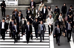 Câu chuyện lương tăng chỉ 4 USD/năm trong gần thập kỷ của người lao động Nhật Bản