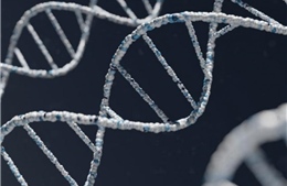 Giới khoa học công bố bộ gien con người hoàn chỉnh đầu tiên
