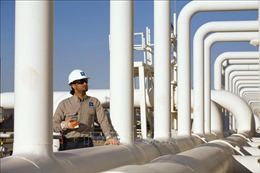 Cố vấn Tổng thống Mỹ bí mật tới Saudi Arabia vận động sản xuất thêm dầu