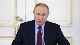 Tổng thống Putin sẽ nói gì trong bài phát biểu tại SPIEF 2022?