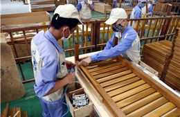 Bloomberg: Kinh tế Việt Nam tăng trưởng vượt bậc nhờ xuất khẩu, sản xuất